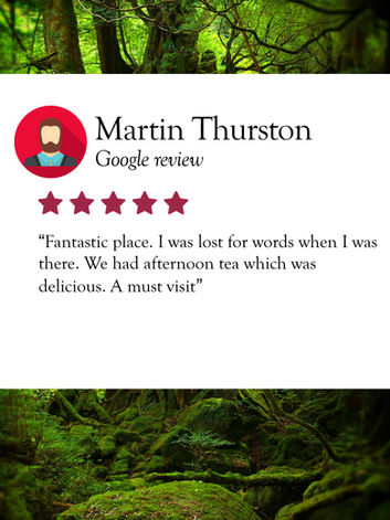 Five-star Tour Testimonial for Talliston