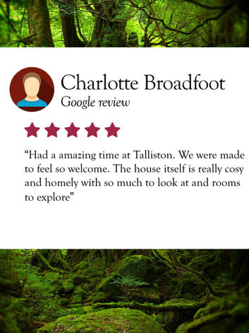 Five-star Tour Testimonial for Talliston