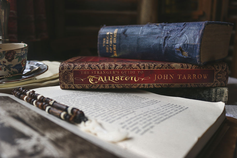 Miniatura: The Stranger's Guide To Talliston Primeira edição capa dura