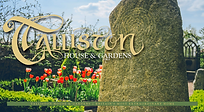 Talliston brochure