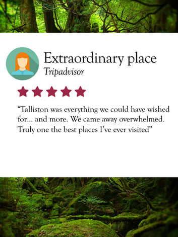 Five-star Tour Testimonial for Talliston