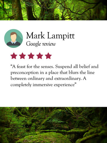 Five-star Tour Testimonial for Talliston