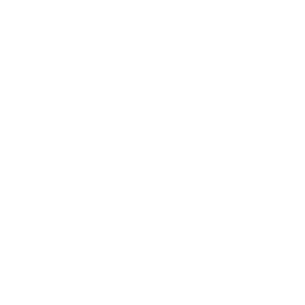 Phoenix-White.png