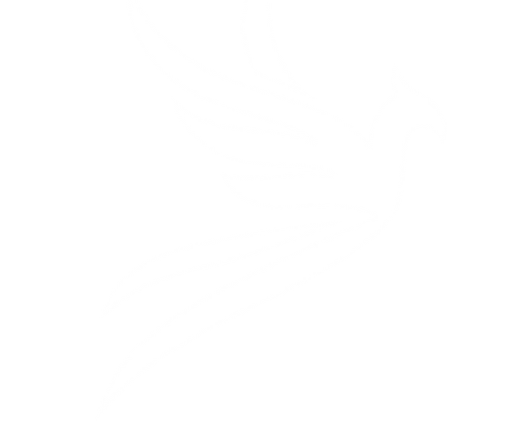 Phoenix-White-3.png