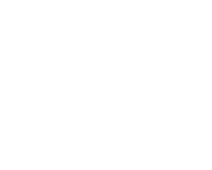 Phoenix-White-3.png