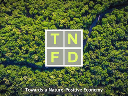 F4B congratulates TNFD on its first convening & launch of Development Finance Hub