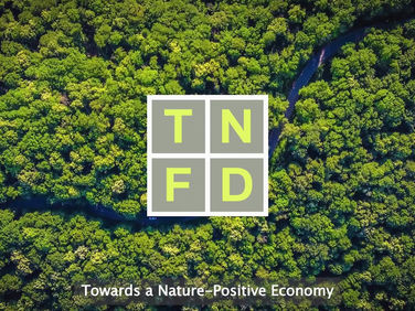 F4B congratulates TNFD on its first convening & launch of Development Finance Hub