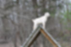 DSC_0187.JPG