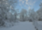 Snow - Land 7