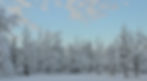 Snow - Land 5