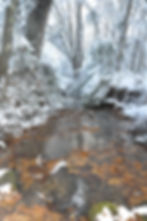 Snow - Land 9