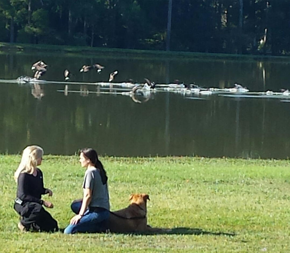 Tracy Butters Lilly at Lake