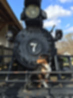 Train - Feb 2016