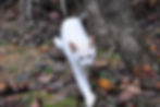DSC_0068.JPG