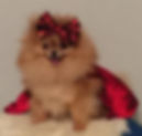 Bow