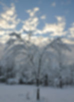 Snow - Land 6