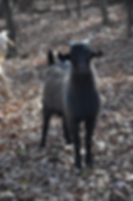 DSC_0097_edited.JPG