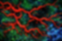 ChatGPT Image Feb 10, 2026, 03_10_24 PM.png
