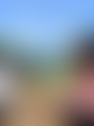 11/3(月・祝)ショートAKG [英語で収穫体験]