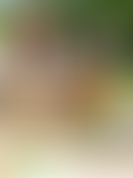 6/28(土)ショートAKG [英語で水遊び]