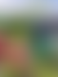 自然と英語の中で、子どもたちの一年をふり返って