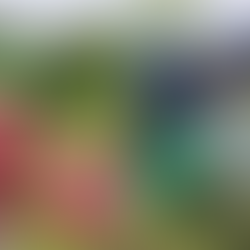 自然と英語の中で、子どもたちの一年をふり返って