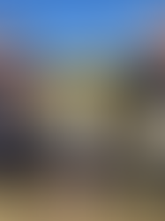 It's windy ! I feel cold !