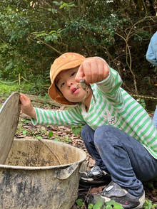 今日は生き物さがしが大人気