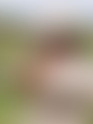 英語で泥んこクッキング