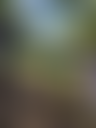 どうしたら自分でハッピーを作りだせる？