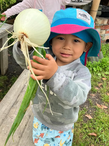 森の中にはいろんな不思議や発見が