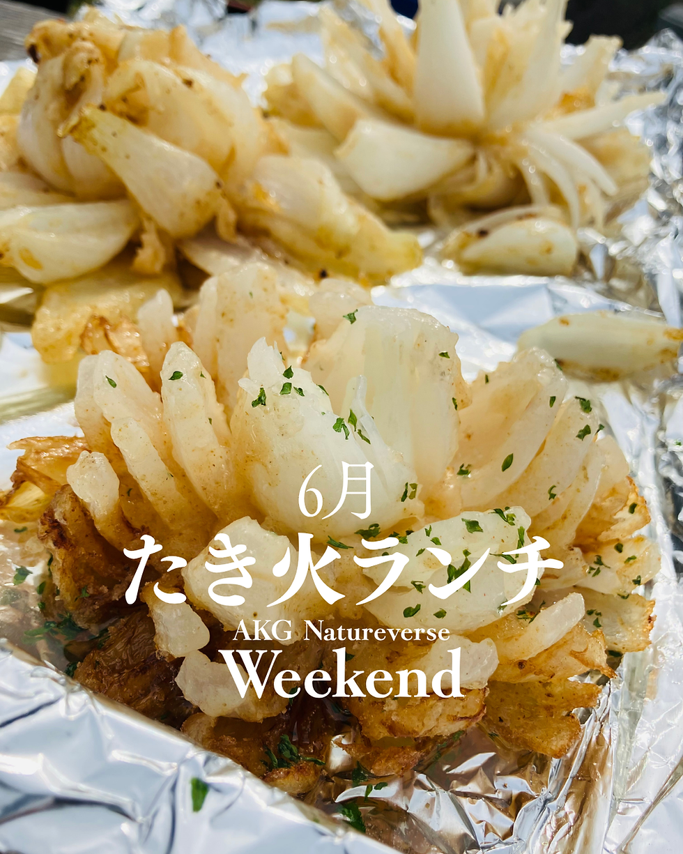 6月のランチ