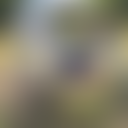 寒い時はこうして遊ぶ！