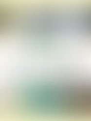 野菜収穫！おいしいね。