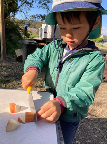 一緒に作った新しいジャングルジム