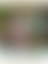 なぜ自然体験に適した服装が必要なの？ 服装だけでどんな効果が？