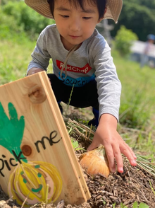 カブトムシだぁ！捕まえるぞー！　