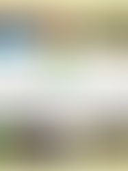 AKG風グリーンカレーはお野菜たっぷり！