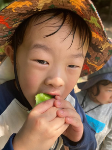 工夫次第で特別な遊びに