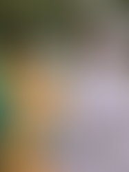 色んな国の文化や食べ物を体験！