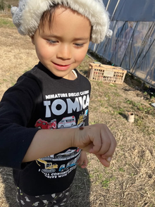 たくさんの野菜を使ってランチ作り♪