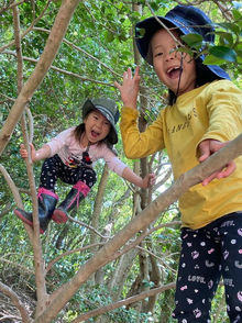 私たちの森にようこそ！