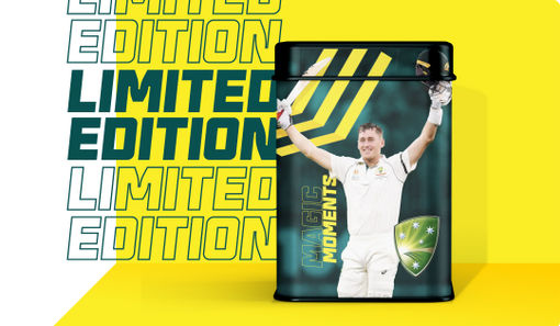 image of a cricket player