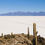 Miniatura: Salar de Uyuni desde La Paz  (FULL DAY- solo un día)
