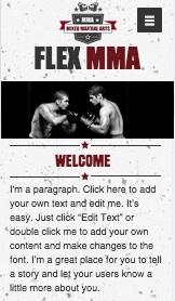 Sport & fritid hjemmesideskabeloner – Blandet kampsport