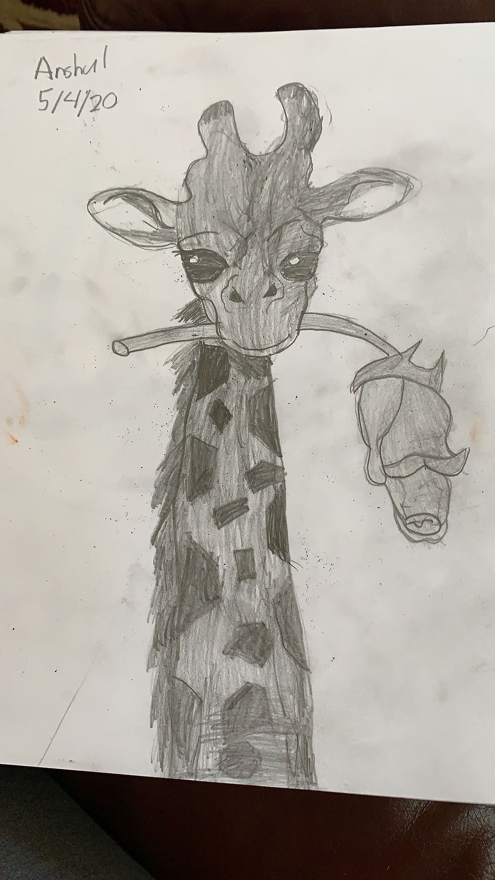 Giraffe by Anshul (4th grade)