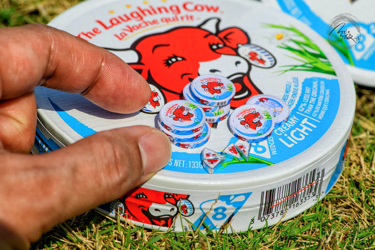 微型藝術作品_笑牛芝士