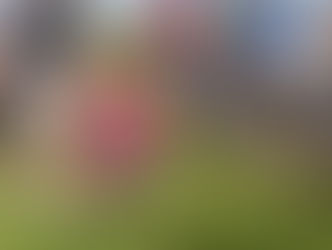 CAÇADA TERMINA COM PRISÃO: Polícia Militar do Amazonas captura acusado de duplo homicídio e estupro na BR 317