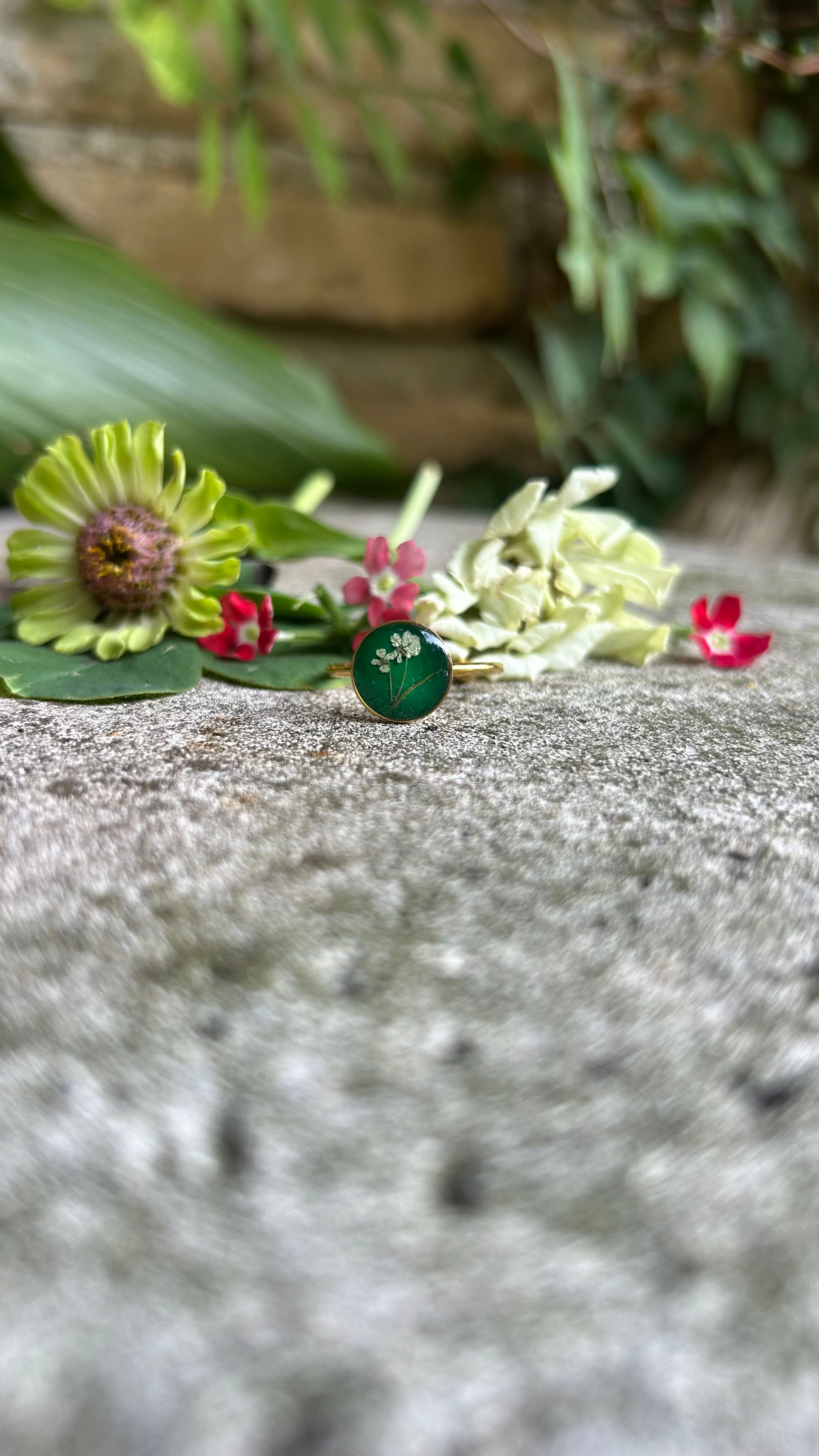 Anello con Carota Selvatica