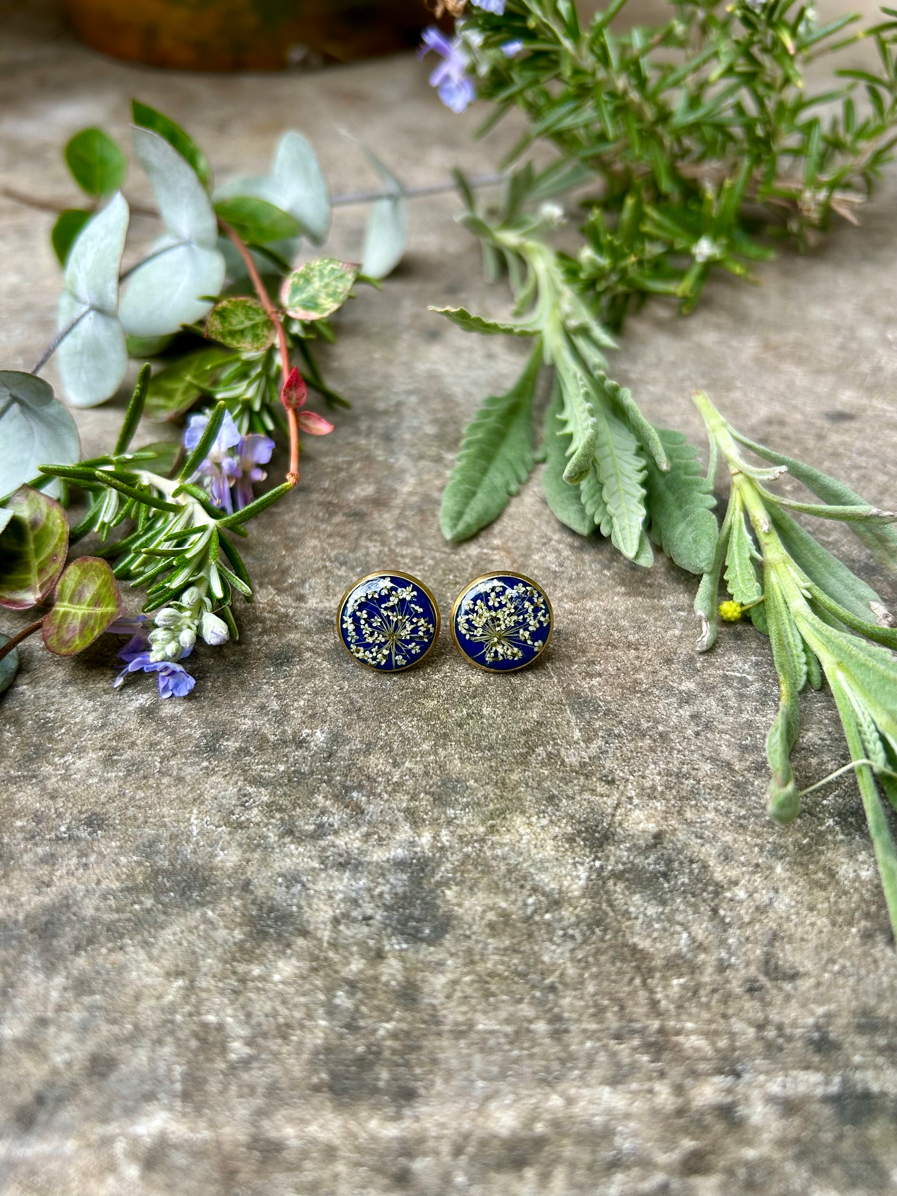 Orecchini con Carota selvatica